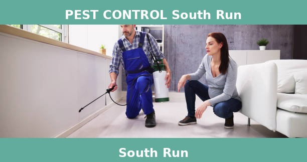 PEST CONTROL South Run